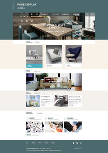 尼曼与ZCOOL 网页与网站设计的魅力探析