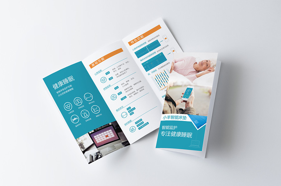 大羊健康管理三折页 阴阳怪人原创设计作品与网页网站设计的融合艺术