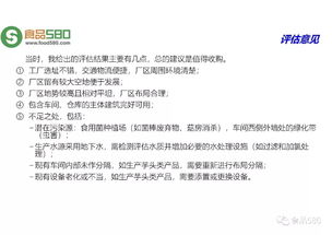 食品工厂的智慧蓝图 从规划设计到网站呈现的完整思路