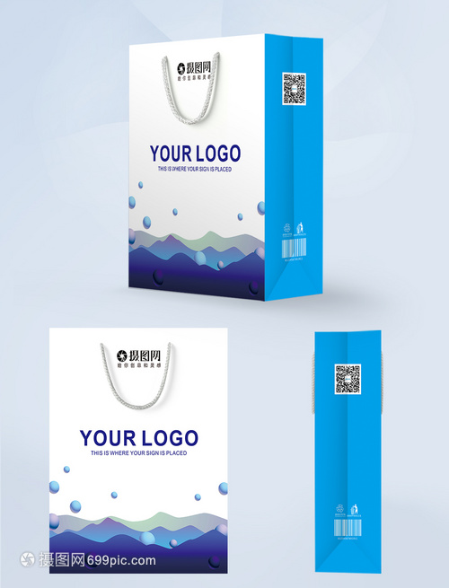 简约蓝色科技手提袋包装与网站设计 塑造统一的品牌视觉体验